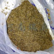 2021年適合投資酒糟烘干機嗎？